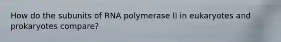 How do the subunits of RNA polymerase II in eukaryotes and prokaryotes compare?