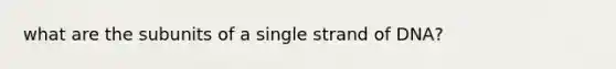 what are the subunits of a single strand of DNA?