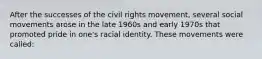 After the successes of the civil rights movement, several social movements arose in the late 1960s and early 1970s that promoted pride in one's racial identity. These movements were called: