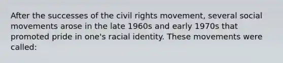 After the successes of the civil rights movement, several social movements arose in the late 1960s and early 1970s that promoted pride in one's racial identity. These movements were called: