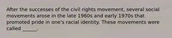 After the successes of the civil rights movement, several social movements arose in the late 1960s and early 1970s that promoted pride in one's racial identity. These movements were called ______.