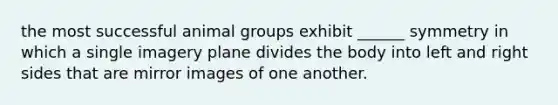 the most successful animal groups exhibit ______ symmetry in which a single imagery plane divides the body into left and right sides that are mirror images of one another.