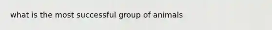 what is the most successful group of animals