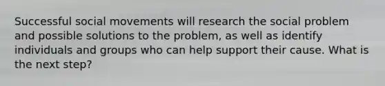 Successful social movements will research the social problem and possible solutions to the problem, as well as identify individuals and groups who can help support their cause. What is the next step?