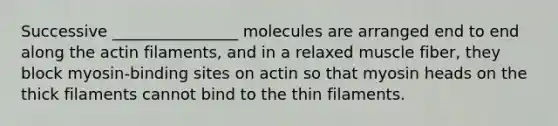 Successive ________________ molecules are arranged end to end along the actin filaments, and in a relaxed muscle fiber, they block myosin-binding sites on actin so that myosin heads on the thick filaments cannot bind to the thin filaments.