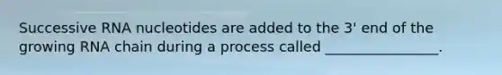 Successive RNA nucleotides are added to the 3' end of the growing RNA chain during a process called ________________.