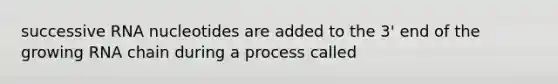 successive RNA nucleotides are added to the 3' end of the growing RNA chain during a process called