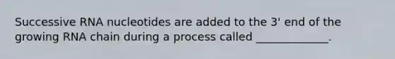 Successive RNA nucleotides are added to the 3' end of the growing RNA chain during a process called _____________.