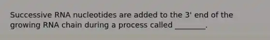 Successive RNA nucleotides are added to the 3' end of the growing RNA chain during a process called ________.