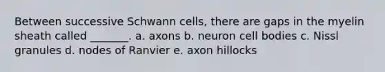 Between successive Schwann cells, there are gaps in the myelin sheath called _______. a. axons b. neuron cell bodies c. Nissl granules d. nodes of Ranvier e. axon hillocks