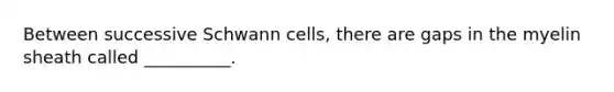 Between successive Schwann cells, there are gaps in the myelin sheath called __________.