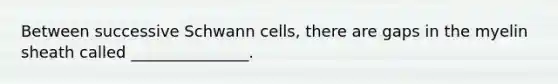 Between successive Schwann cells, there are gaps in the myelin sheath called _______________.