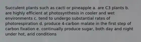 Succulent plants such as cacti or pineapple a. are C3 plants b. are highly efficient at photosynthesis in cooler and wet environments c. tend to undergo substantial rates of photorespiration d. produce 4-carbon malate in the first step of carbon fixation e. continually produce sugar, both day and night under hot, arid conditions