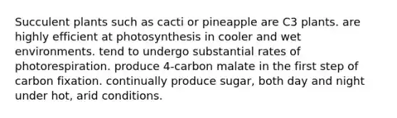 Succulent plants such as cacti or pineapple are C3 plants. are highly efficient at photosynthesis in cooler and wet environments. tend to undergo substantial rates of photorespiration. produce 4-carbon malate in the first step of carbon fixation. continually produce sugar, both day and night under hot, arid conditions.