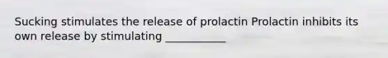 Sucking stimulates the release of prolactin Prolactin inhibits its own release by stimulating ___________