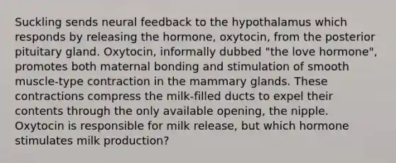 Suckling sends neural feedback to the hypothalamus which responds by releasing the hormone, oxytocin, from the posterior pituitary gland. Oxytocin, informally dubbed "the love hormone", promotes both maternal bonding and stimulation of smooth muscle-type contraction in the mammary glands. These contractions compress the milk-filled ducts to expel their contents through the only available opening, the nipple. Oxytocin is responsible for milk release, but which hormone stimulates milk production?