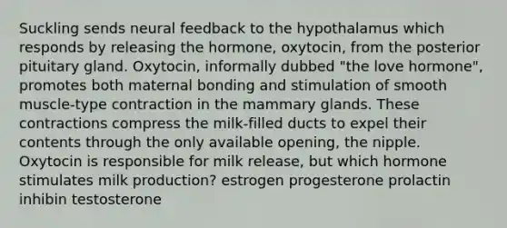 Suckling sends neural feedback to the hypothalamus which responds by releasing the hormone, oxytocin, from the posterior pituitary gland. Oxytocin, informally dubbed "the love hormone", promotes both maternal bonding and stimulation of smooth muscle-type contraction in the mammary glands. These contractions compress the milk-filled ducts to expel their contents through the only available opening, the nipple. Oxytocin is responsible for milk release, but which hormone stimulates milk production? estrogen progesterone prolactin inhibin testosterone