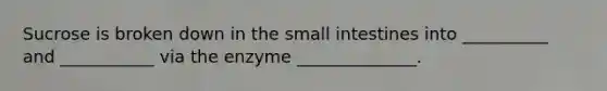 Sucrose is broken down in the small intestines into __________ and ___________ via the enzyme ______________.