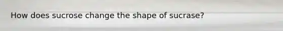 How does sucrose change the shape of sucrase?