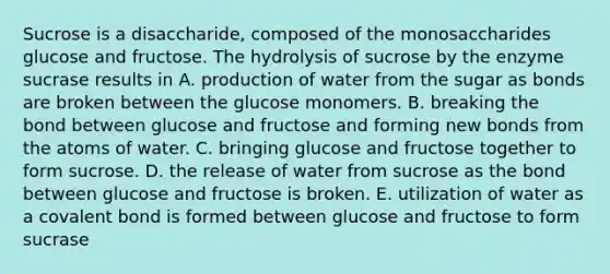 Sucrose is a disaccharide, composed of the monosaccharides glucose and fructose. The hydrolysis of sucrose by the enzyme sucrase results in A. production of water from the sugar as bonds are broken between the glucose monomers. B. breaking the bond between glucose and fructose and forming new bonds from the atoms of water. C. bringing glucose and fructose together to form sucrose. D. the release of water from sucrose as the bond between glucose and fructose is broken. E. utilization of water as a covalent bond is formed between glucose and fructose to form sucrase