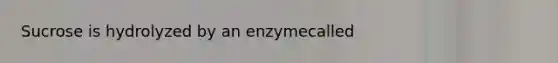 Sucrose is hydrolyzed by an enzymecalled