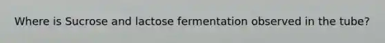 Where is Sucrose and lactose fermentation observed in the tube?