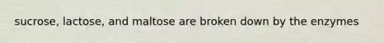 sucrose, lactose, and maltose are broken down by the enzymes