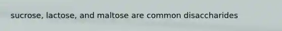 sucrose, lactose, and maltose are common disaccharides