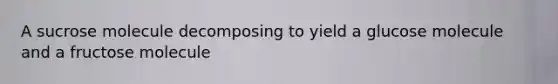 A sucrose molecule decomposing to yield a glucose molecule and a fructose molecule