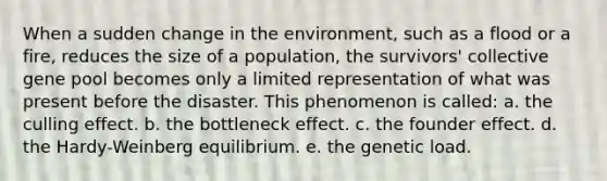 When a sudden change in the environment, such as a flood or a fire, reduces the size of a population, the survivors' collective gene pool becomes only a limited representation of what was present before the disaster. This phenomenon is called: a. the culling effect. b. the bottleneck effect. c. the founder effect. d. the Hardy-Weinberg equilibrium. e. the genetic load.