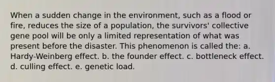 When a sudden change in the environment, such as a flood or fire, reduces the size of a population, the survivors' collective gene pool will be only a limited representation of what was present before the disaster. This phenomenon is called the: a. Hardy-Weinberg effect. b. the founder effect. c. bottleneck effect. d. culling effect. e. genetic load.