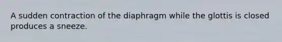 A sudden contraction of the diaphragm while the glottis is closed produces a sneeze.