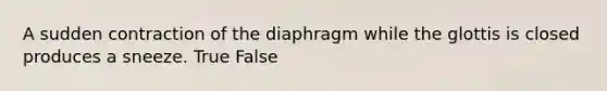 A sudden contraction of the diaphragm while the glottis is closed produces a sneeze. True False