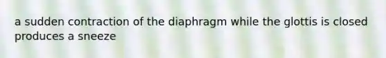 a sudden contraction of the diaphragm while the glottis is closed produces a sneeze