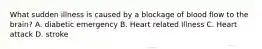 What sudden illness is caused by a blockage of blood flow to the brain? A. diabetic emergency B. Heart related Illness C. Heart attack D. stroke