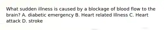 What sudden illness is caused by a blockage of blood flow to <a href='https://www.questionai.com/knowledge/kLMtJeqKp6-the-brain' class='anchor-knowledge'>the brain</a>? A. diabetic emergency B. Heart related Illness C. Heart attack D. stroke