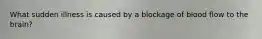 What sudden illness is caused by a blockage of blood flow to the brain?