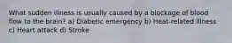 What sudden illness is usually caused by a blockage of blood flow to the brain? a) Diabetic emergency b) Heat-related illness c) Heart attack d) Stroke