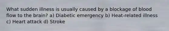 What sudden illness is usually caused by a blockage of blood flow to the brain? a) Diabetic emergency b) Heat-related illness c) Heart attack d) Stroke