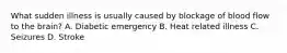What sudden illness is usually caused by blockage of blood flow to the brain? A. Diabetic emergency B. Heat related illness C. Seizures D. Stroke