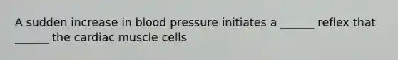 A sudden increase in blood pressure initiates a ______ reflex that ______ the cardiac muscle cells