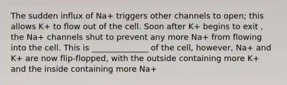 The sudden influx of Na+ triggers other channels to open; this allows K+ to flow out of the cell. Soon after K+ begins to exit , the Na+ channels shut to prevent any more Na+ from flowing into the cell. This is ______________ of the cell, however, Na+ and K+ are now flip-flopped, with the outside containing more K+ and the inside containing more Na+