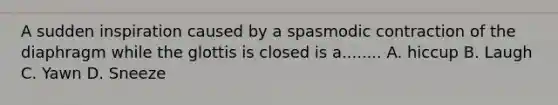 A sudden inspiration caused by a spasmodic contraction of the diaphragm while the glottis is closed is a........ A. hiccup B. Laugh C. Yawn D. Sneeze