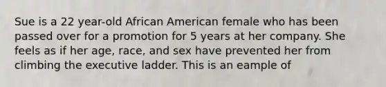 Sue is a 22 year-old African American female who has been passed over for a promotion for 5 years at her company. She feels as if her age, race, and sex have prevented her from climbing the executive ladder. This is an eample of