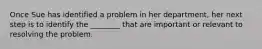 Once Sue has identified a problem in her department, her next step is to identify the ________ that are important or relevant to resolving the problem.