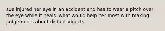 sue injured her eye in an accident and has to wear a pitch over the eye while it heals. what would help her most with making judgements about distant objects