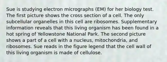 Sue is studying electron micrographs (EM) for her biology test. The first picture shows the cross section of a cell. The only subcellular organelles in this cell are ribosomes. Supplementary information reveals that this living organism has been found in a hot spring of Yellowstone National Park. The second picture shows a part of a cell with a nucleus, mitochondria, and ribosomes. Sue reads in the figure legend that the cell wall of this living organism is made of cellulose.