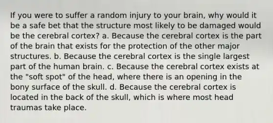 If you were to suffer a random injury to your brain, why would it be a safe bet that the structure most likely to be damaged would be the cerebral cortex? a. Because the cerebral cortex is the part of the brain that exists for the protection of the other major structures. b. Because the cerebral cortex is the single largest part of the human brain. c. Because the cerebral cortex exists at the "soft spot" of the head, where there is an opening in the bony surface of the skull. d. Because the cerebral cortex is located in the back of the skull, which is where most head traumas take place.