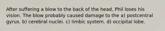 After suffering a blow to the back of the head, Phil loses his vision. The blow probably caused damage to the a) postcentral gyrus. b) cerebral nuclei. c) limbic system. d) occipital lobe.