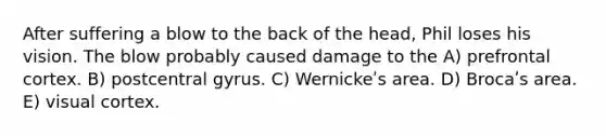 After suffering a blow to the back of the head, Phil loses his vision. The blow probably caused damage to the A) prefrontal cortex. B) postcentral gyrus. C) Wernickeʹs area. D) Brocaʹs area. E) visual cortex.